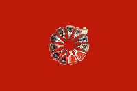 揭阳市普宁回收红酒